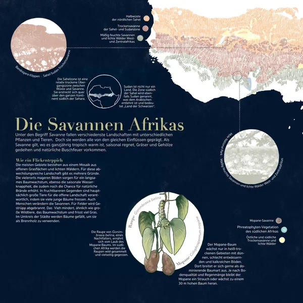 Afrika! — Seite 1