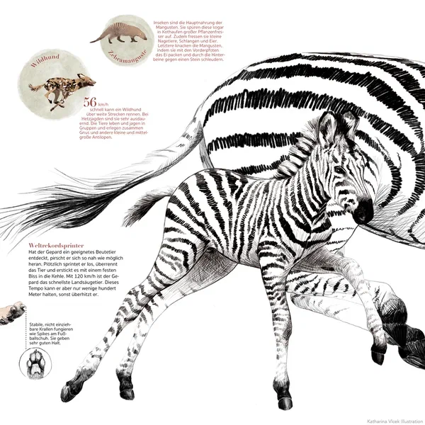 Afrika! — Seite 10