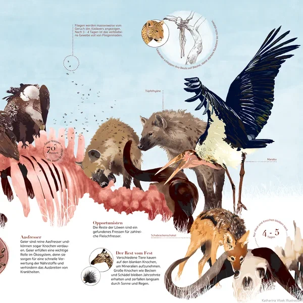 Afrika! — Seite 12