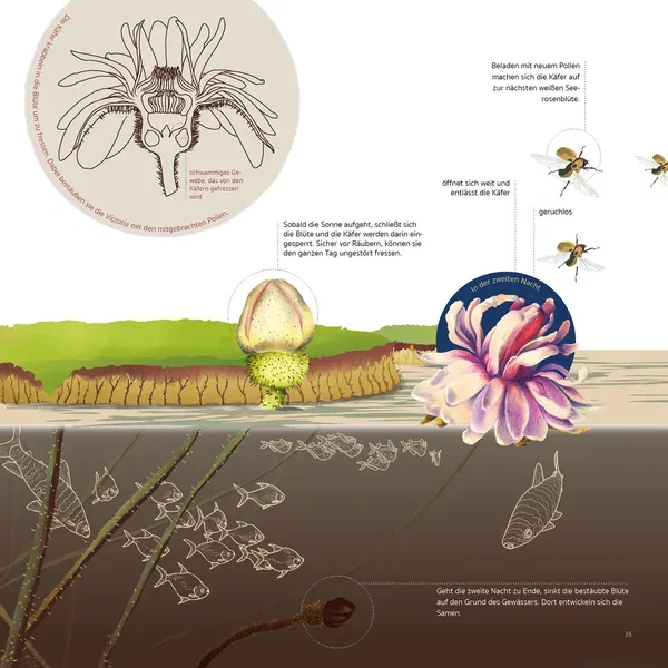 Amazonia — Page 10