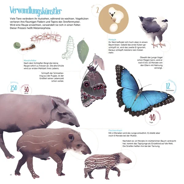 Amazonia — Page 11