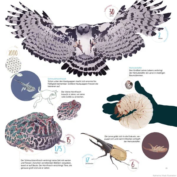 Amazonia — Page 12