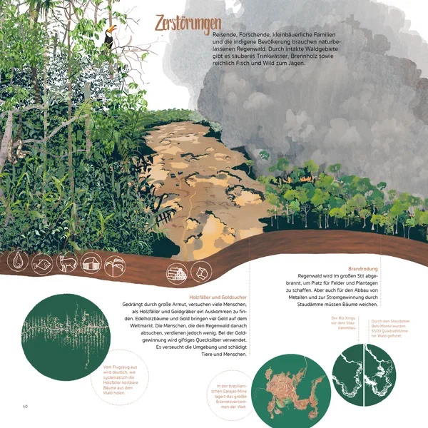 Amazonia — Page 13