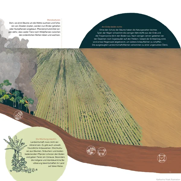 Amazonia — Page 14