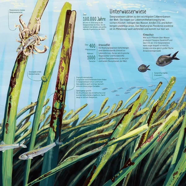 Mittelmeer — Seite 3