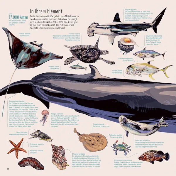 Mittelmeer — Seite 11