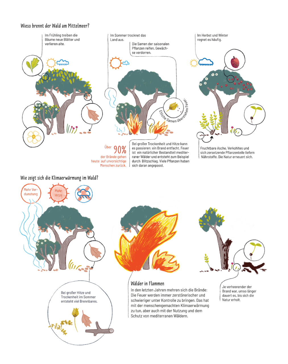InfografikWald_1