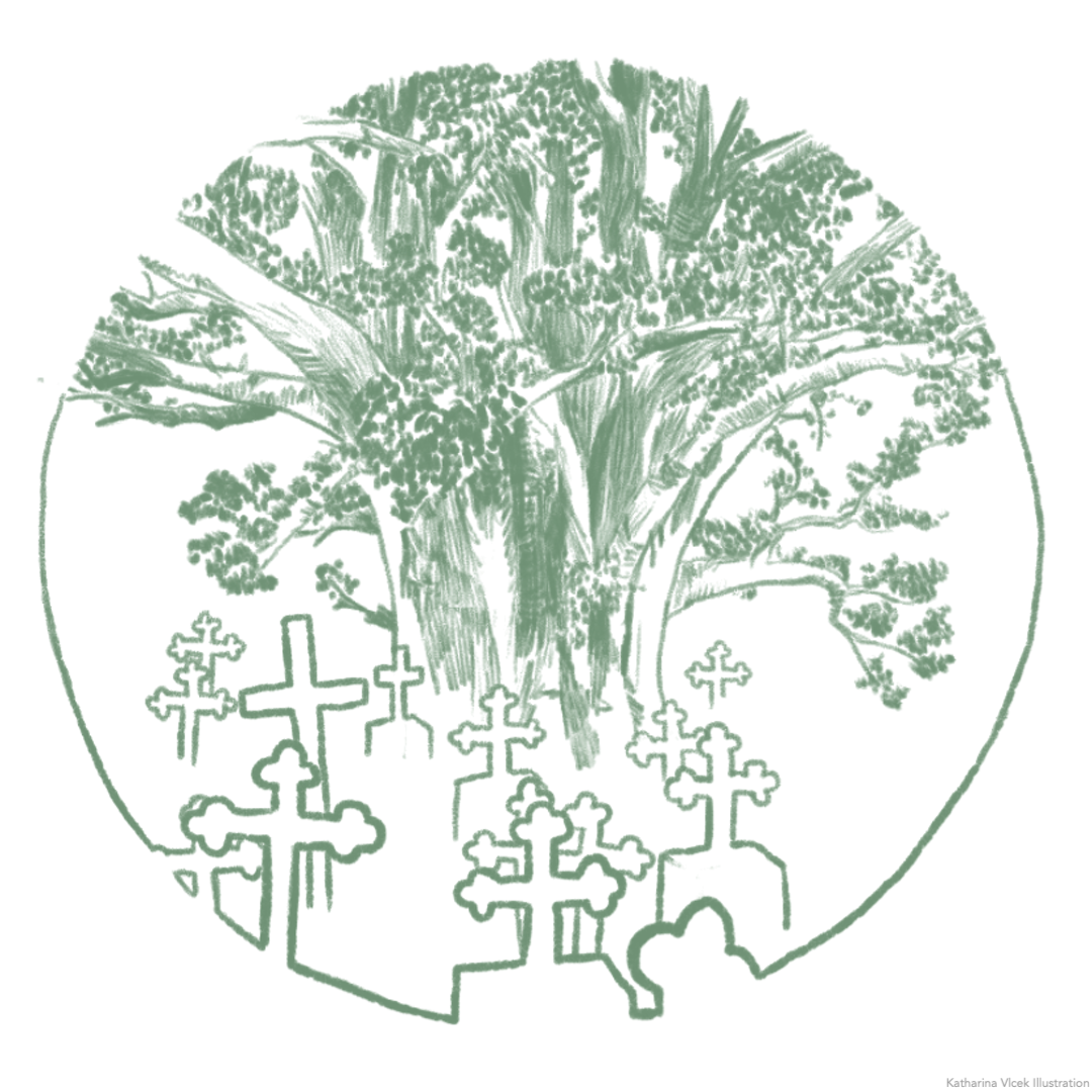 baobab%20friedhof