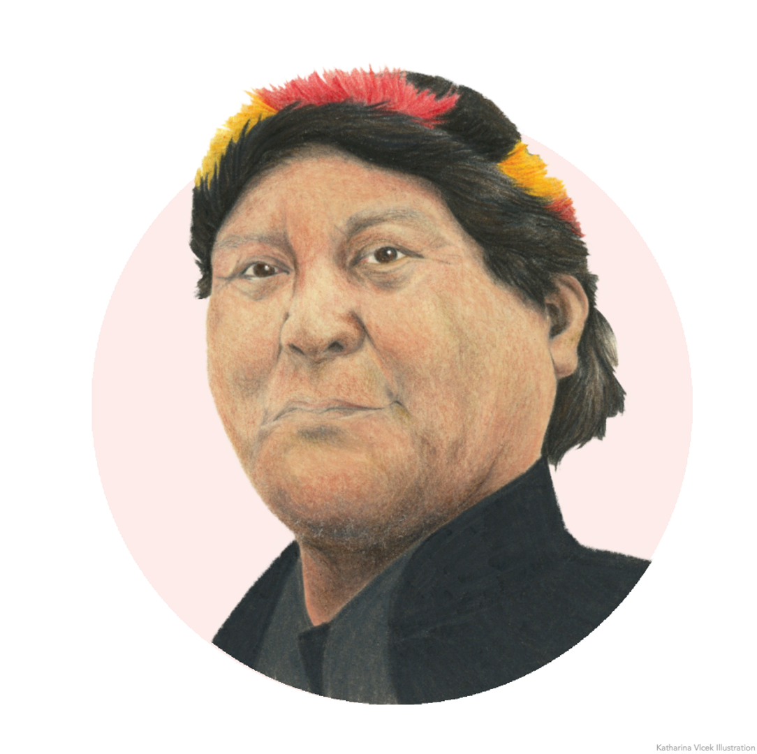 davi%20kopenawa%20yanomami