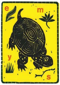 EMYS Non-Fiction Prize