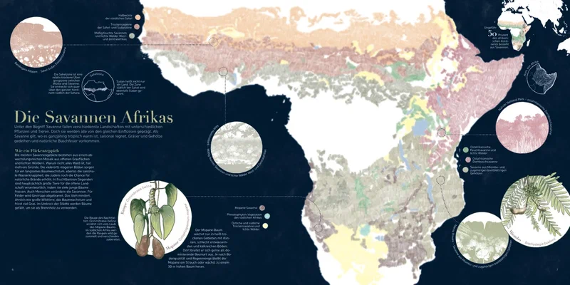 Afrika infografiken 1