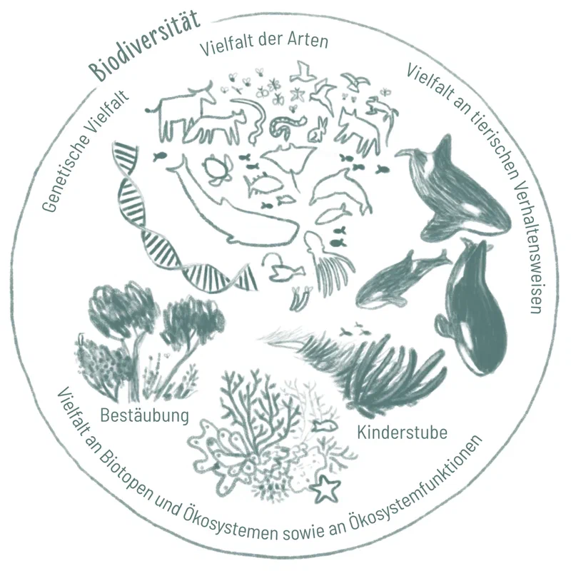 Biodiversität 1