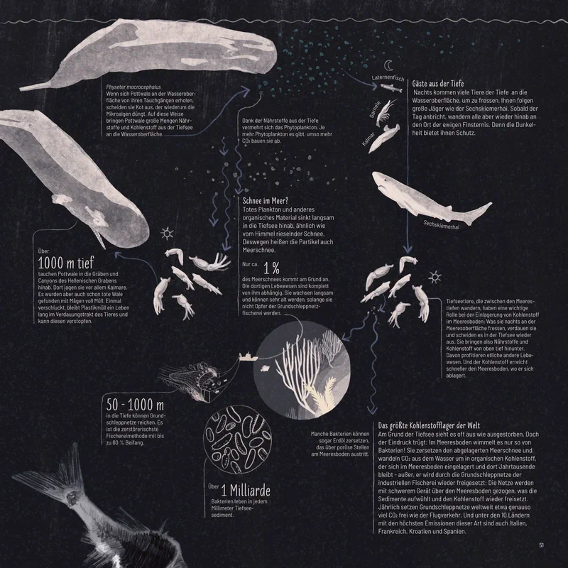 Tiefsee zyklus 1